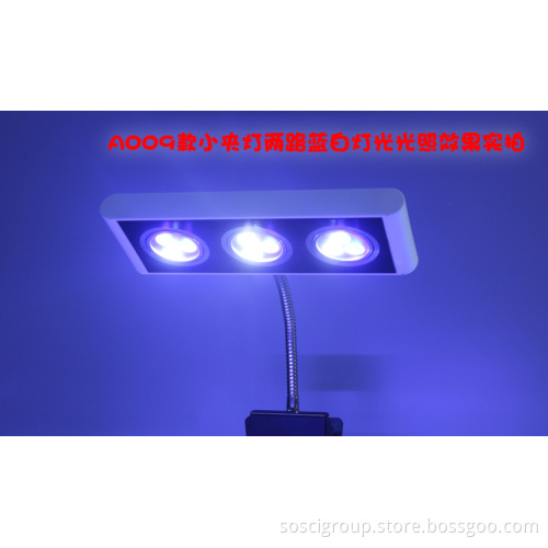 Nice Delicate and Cabinet LED Aquarium Light